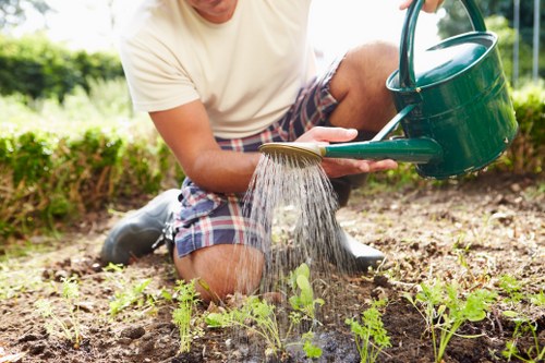 Landscaping team designing a Stratford residential outdoor space