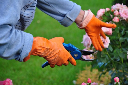 Landscaping team preparing a garden project plan