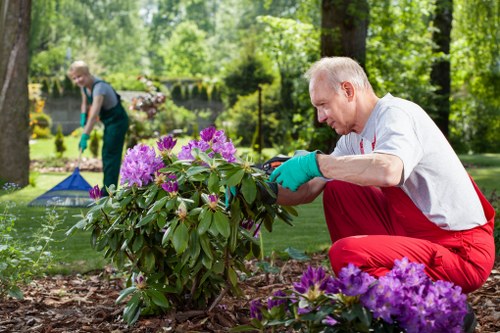 Functional backyard landscaping in Stratford with patio, pathways, and greenery