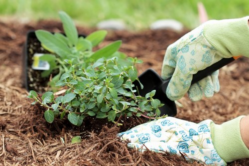 Written record and inspection notes for a landscaping complaint