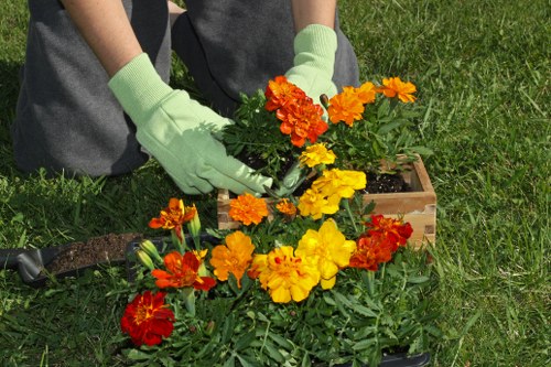 Landscaping team assessing a garden issue during a complaints review