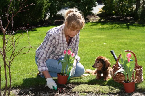 Accessibility-focused landscaping content for Stratford users