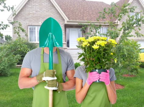 Residential soft landscaping with shrubs and turf in Stratford