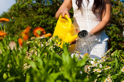 Professional turf installation for a Stratford home or commercial area
