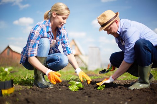 Client reviewing a landscaping quotation and booking details